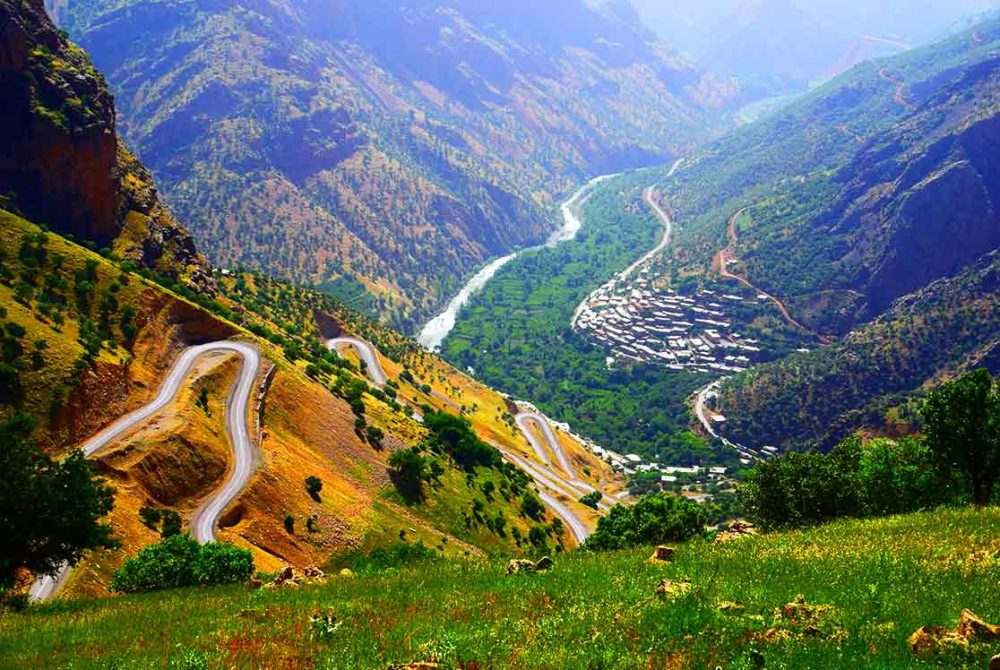 رسانه جدید