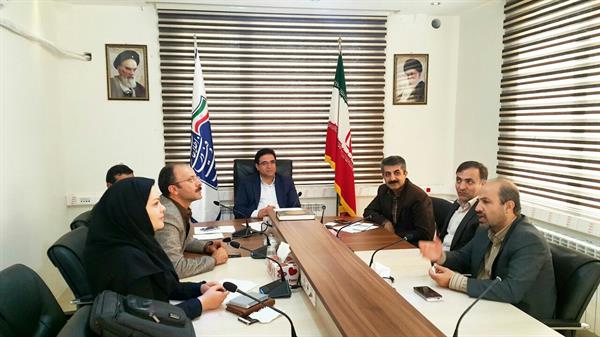 بررسی دستاوردها و مشکلات اجرای طرح تکاپو در رسته ICT